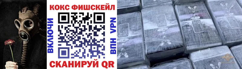 где найти   Старая Русса  ОМГ ОМГ зеркало  Cocaine Fish Scale 