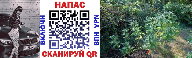 Каннабис Amnesia  магазин    Старая Русса 